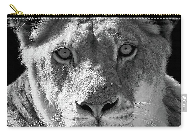 Lions Zip Pouch featuring the photograph Nayo by Elaine Malott