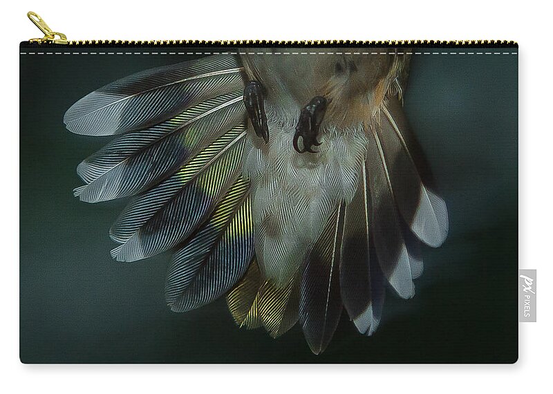 Female Ruby-throated Hummingbird Zip Pouch featuring the photograph Need A Headdress by Robert L Jackson