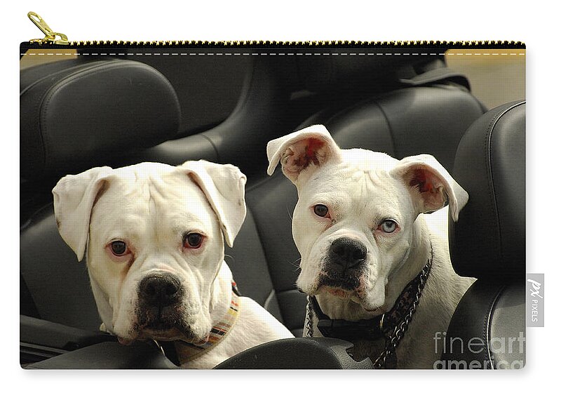 Dogs Zip Pouch featuring the photograph Need a Lift by Marc Bittan