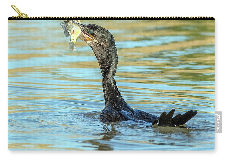 Neotropic Zip Pouch featuring the photograph Double-crested Cormorant 0166-111017-1 by Tam Ryan