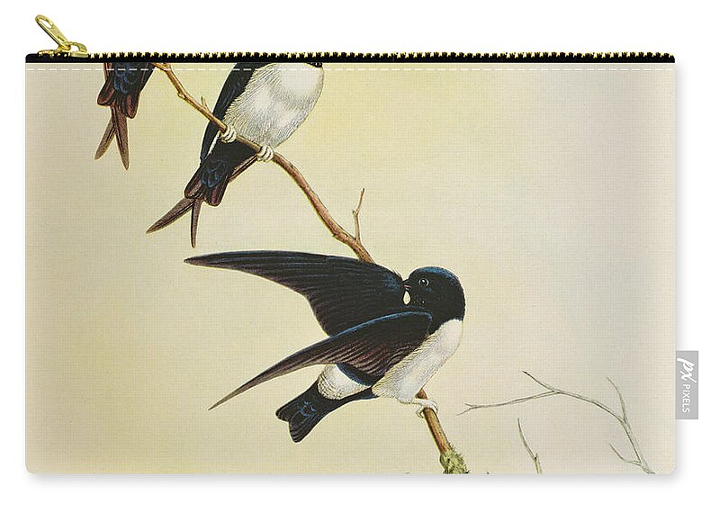 Swallow Zip Pouch featuring the painting Nepal House Martin by John Gould