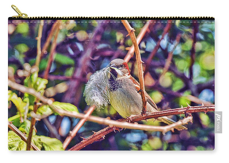 Reifel Zip Pouch featuring the photograph Nesting Sparrow by Lawrence Christopher
