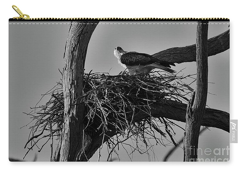 Brown Kite Zip Pouch featuring the photograph Nesting V2 by Douglas Barnard
