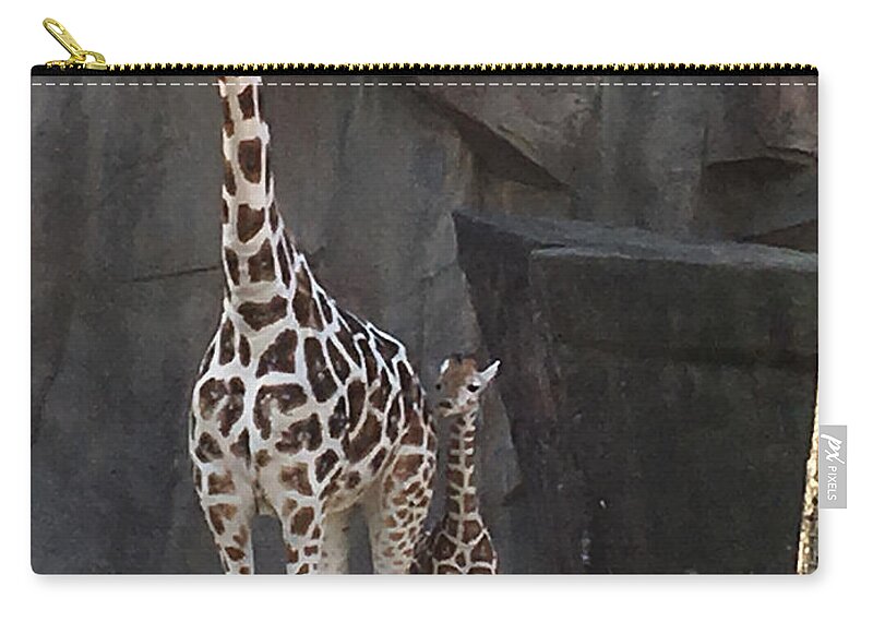 Zoo Zip Pouch featuring the photograph New Baby Giraffe by Jean Wolfrum