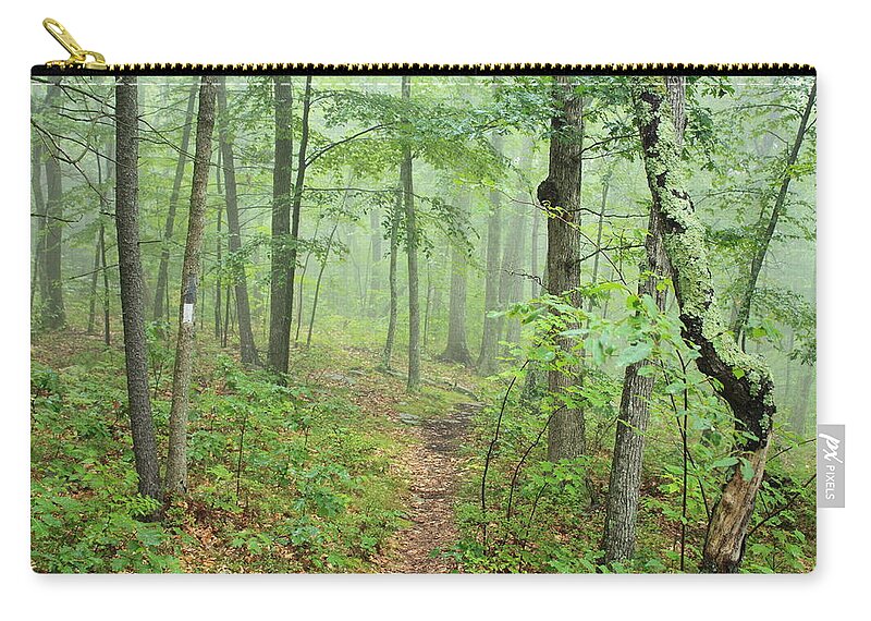 New England National Scenic Trail Zip Pouch featuring the photograph New England National Scenic Trail Misty Forest by John Burk