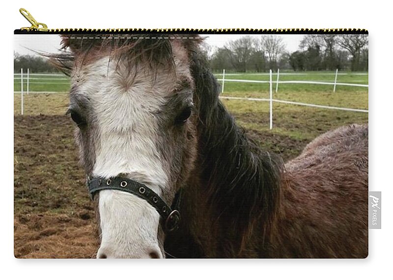 Horse Zip Pouch featuring the photograph Hello Horsey by Rowena Tutty