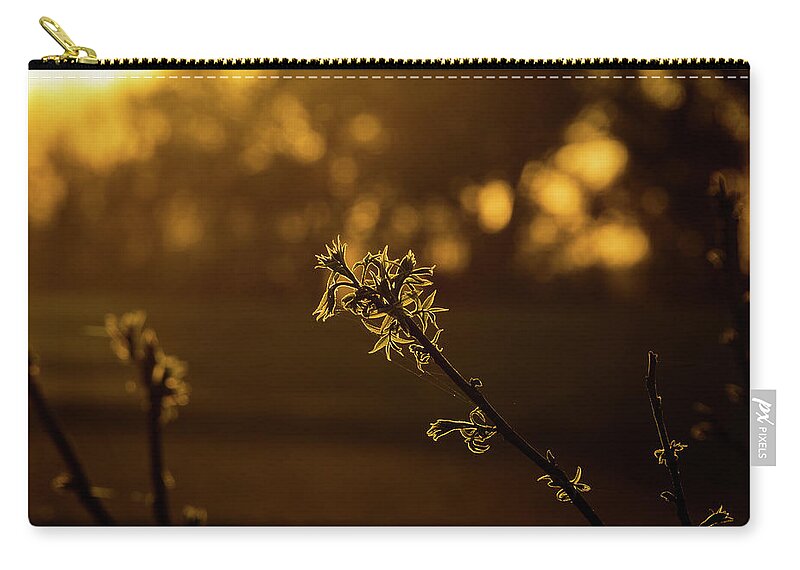 Jay Stockhaus Zip Pouch featuring the photograph New Growth by Jay Stockhaus