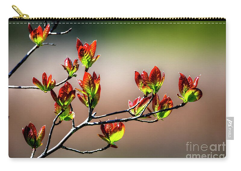 New Growth Zip Pouch featuring the photograph New Growth by Paul Mashburn
