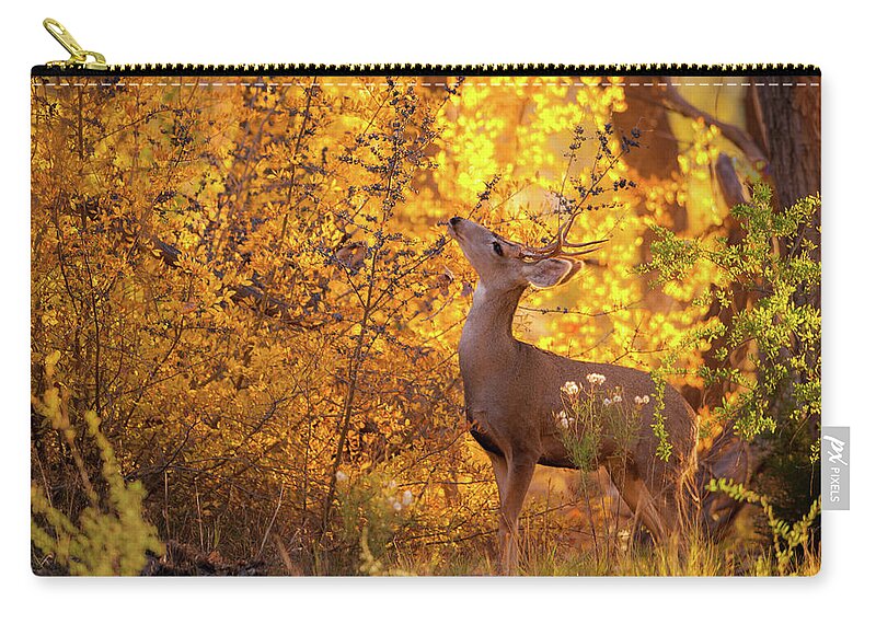 New Mexico Privet Zip Pouch featuring the photograph New Mexico Buck Browsing by Jeff Phillippi