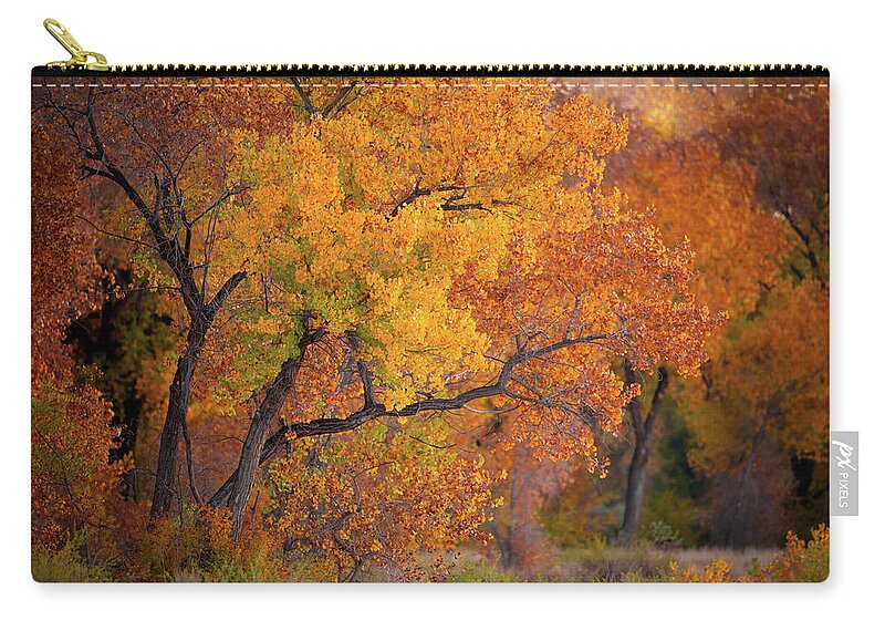 Cottonwood Tree Zip Pouch featuring the photograph New Mexico Gold by Jeff Phillippi