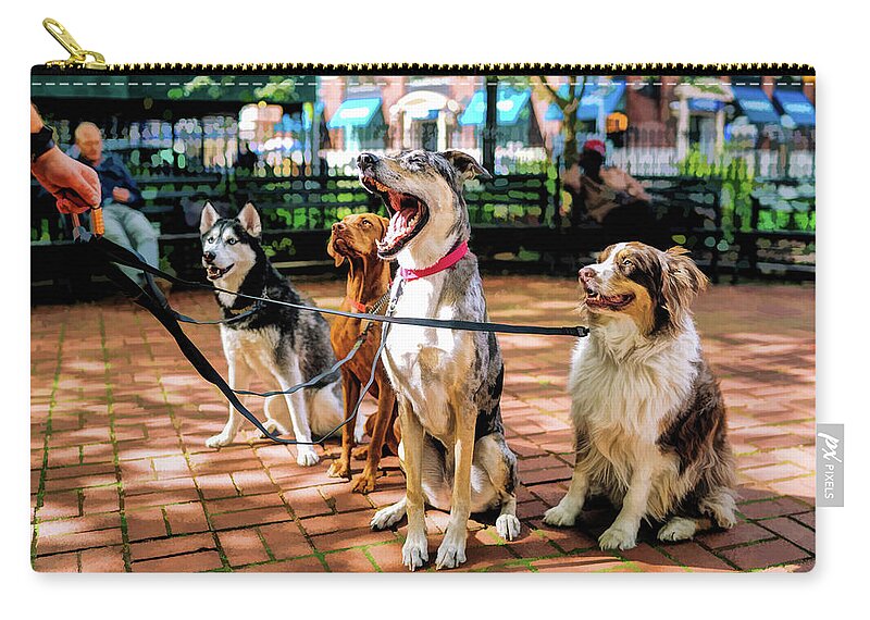 New York Zip Pouch featuring the painting New York City Dog Walking by Christopher Arndt