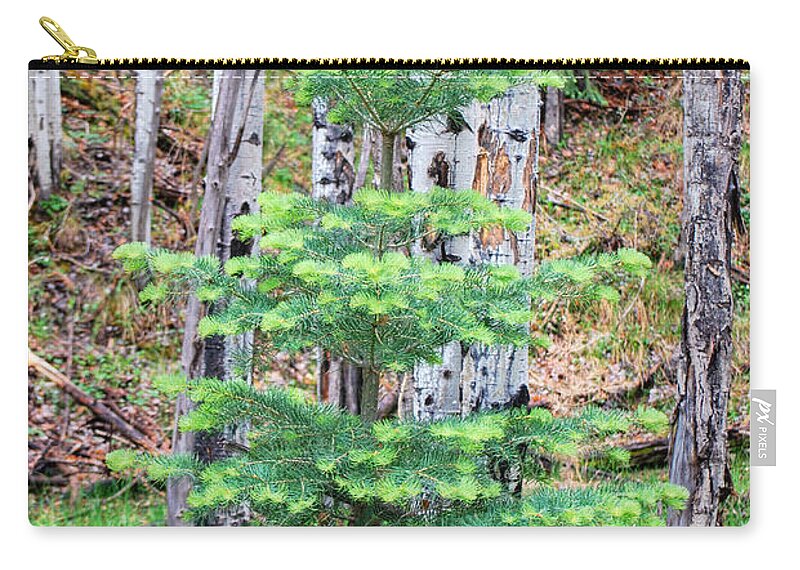 Fine Art Zip Pouch featuring the photograph Next Years Christmas Tree by Donna Greene