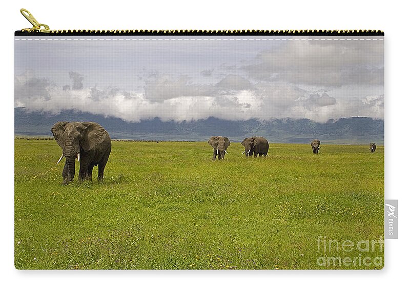 Elephantidae Loxodonta Africana Zip Pouch featuring the photograph Ngorongoro Elephants-Signed-#0135 by J L Woody Wooden