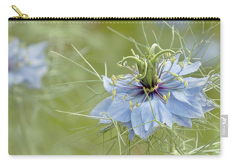 Blue Zip Pouch featuring the photograph Nigella damascena by Cindy Garber Iverson