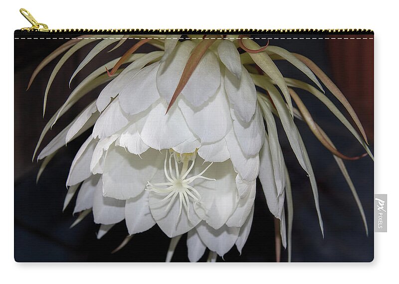 Botanical Zip Pouch featuring the photograph Night Blooming Cereus II by Alana Thrower