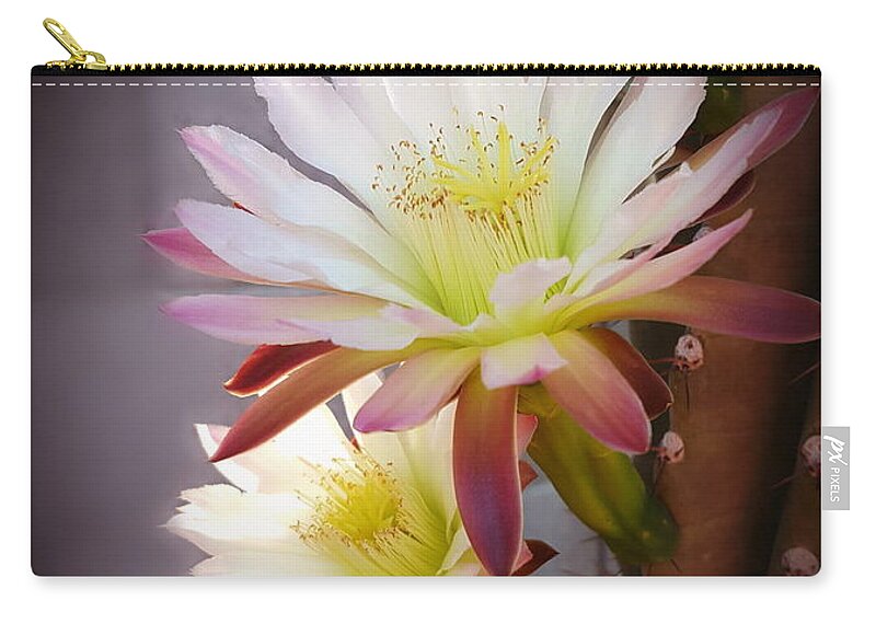 Night-blooming Cactus Zip Pouch featuring the photograph Night Blooming Cereus by Marilyn Smith