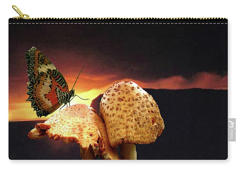 Butterfly Zip Pouch featuring the photograph Night Fall by Donna Brown