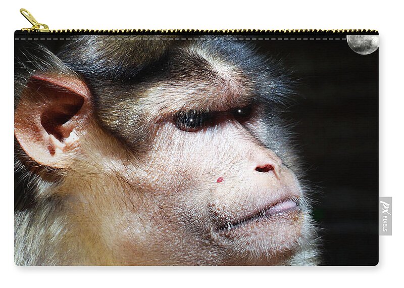 Speechless Zip Pouch featuring the photograph Night Time by Dennis Dugan