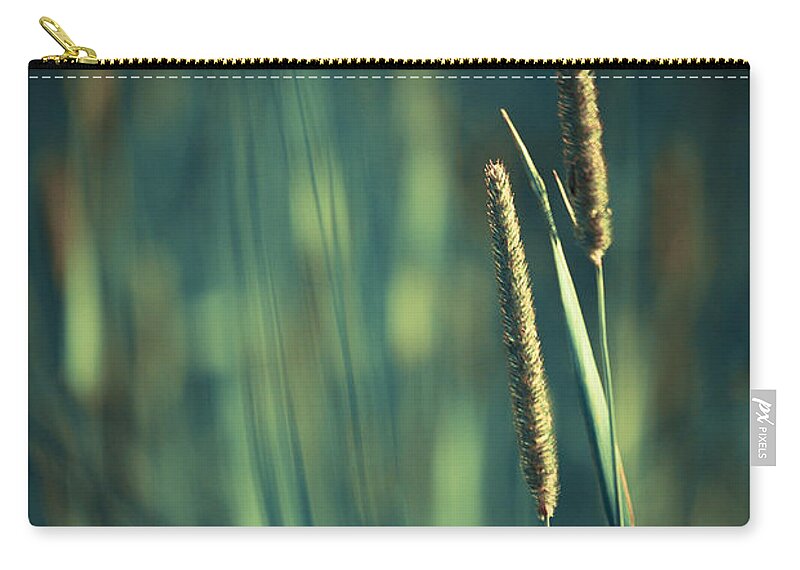 Green Photographs Zip Pouch featuring the photograph Night Whispers by Aimelle Ml