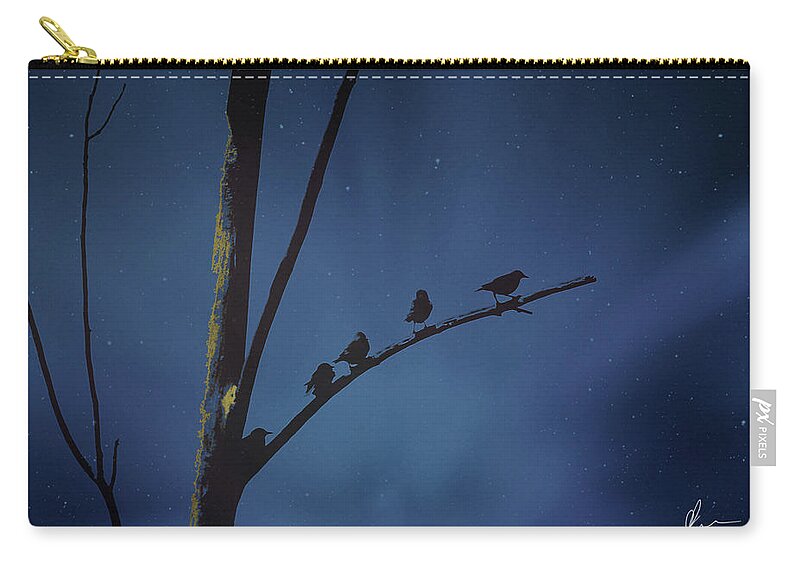 Night Zip Pouch featuring the photograph Nightfall by Jackson Pearson