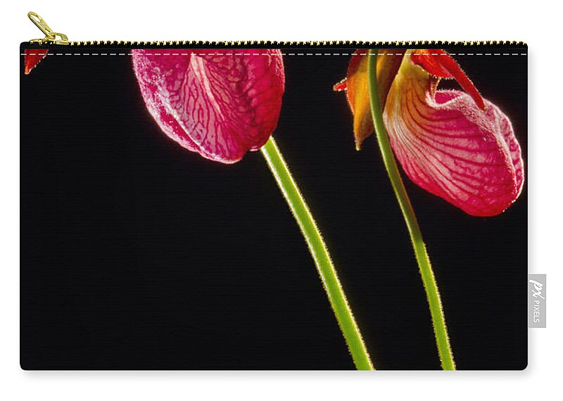 Photography Zip Pouch featuring the photograph No Lady Slipper Was Harmed by Frederic A Reinecke