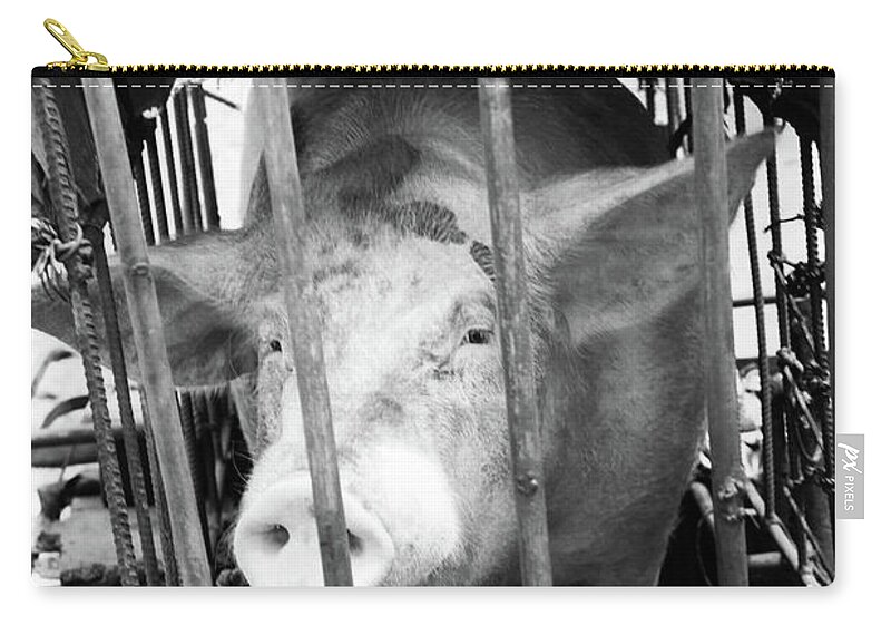Mati Zip Pouch featuring the photograph No More Grunt by Jez C Self