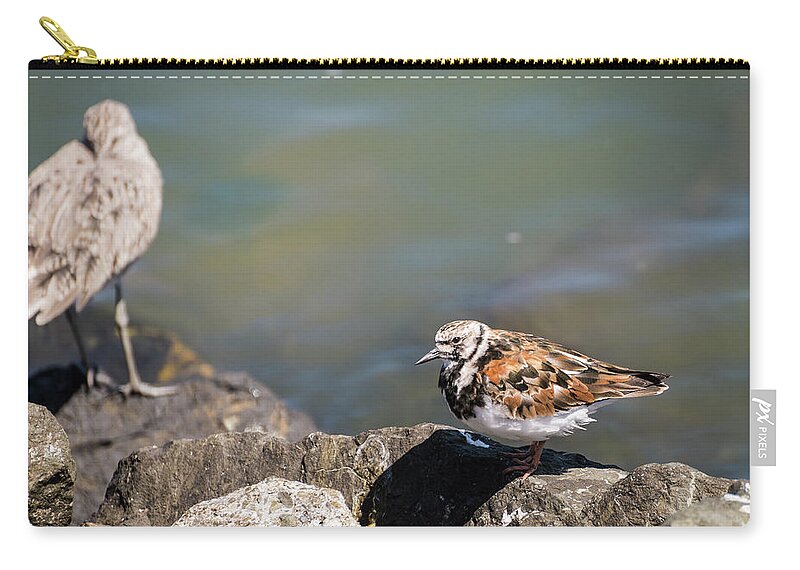 Turnstone Zip Pouch featuring the photograph No Stone Unturned by Alex Lapidus