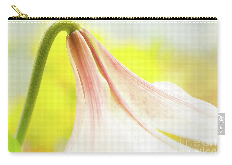 Lily Show 2017 Zip Pouch featuring the photograph Nodding by Marilyn Cornwell