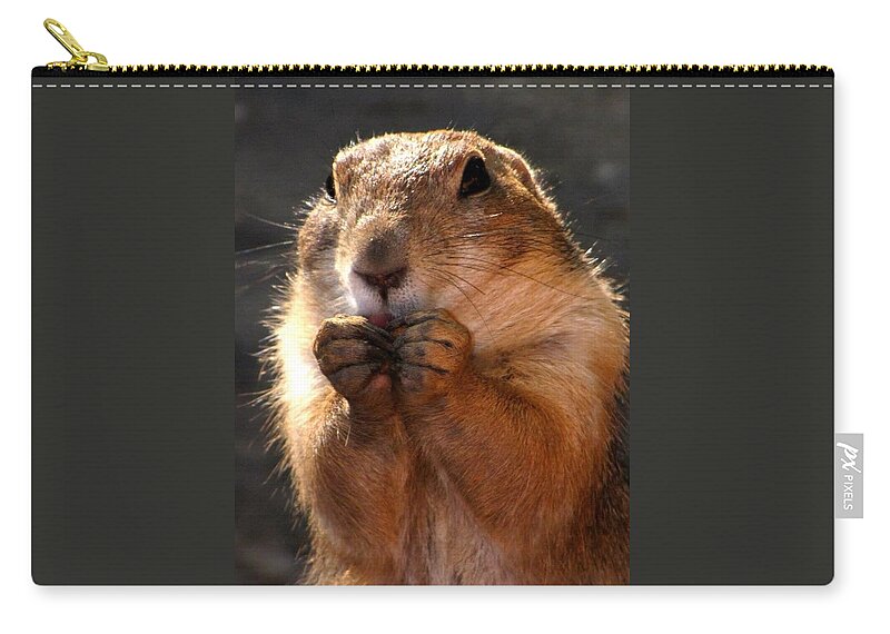 Prairie Dogs Zip Pouch featuring the photograph Snacking Prairie Dog by Lori Lafargue