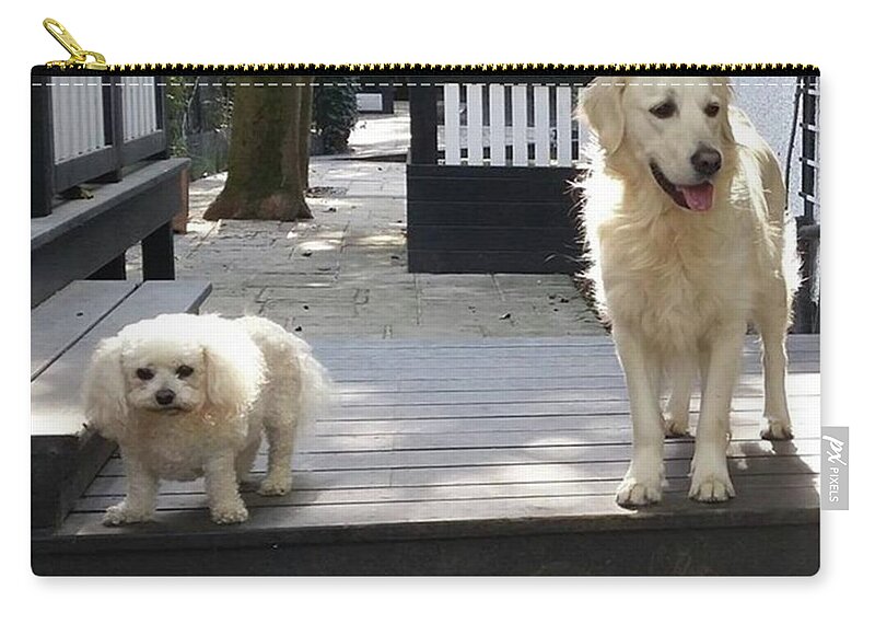 Dog Zip Pouch featuring the photograph Non Identical Sisters by Rowena Tutty