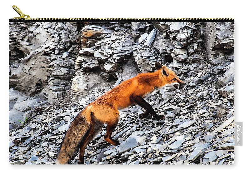  Zip Pouch featuring the photograph North American Red Fox by Daniel Hebard