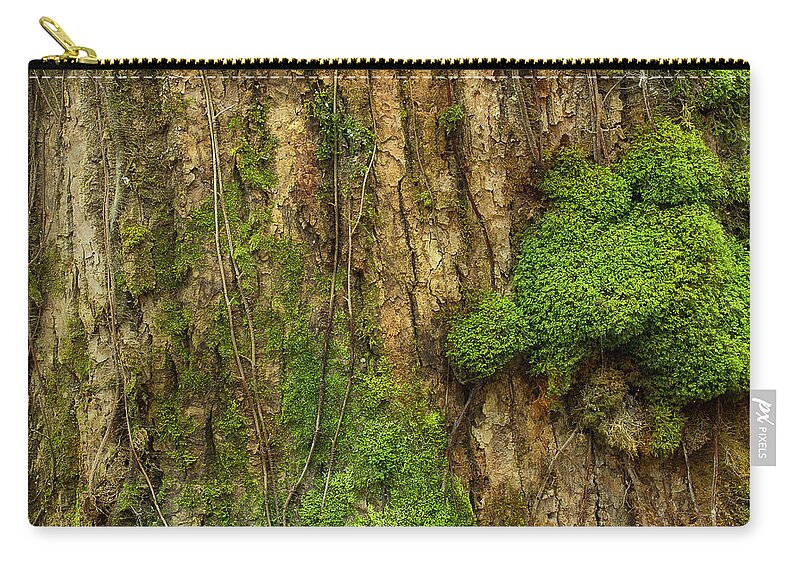 Tree Zip Pouch featuring the photograph North Side Of The Tree by Mike Eingle