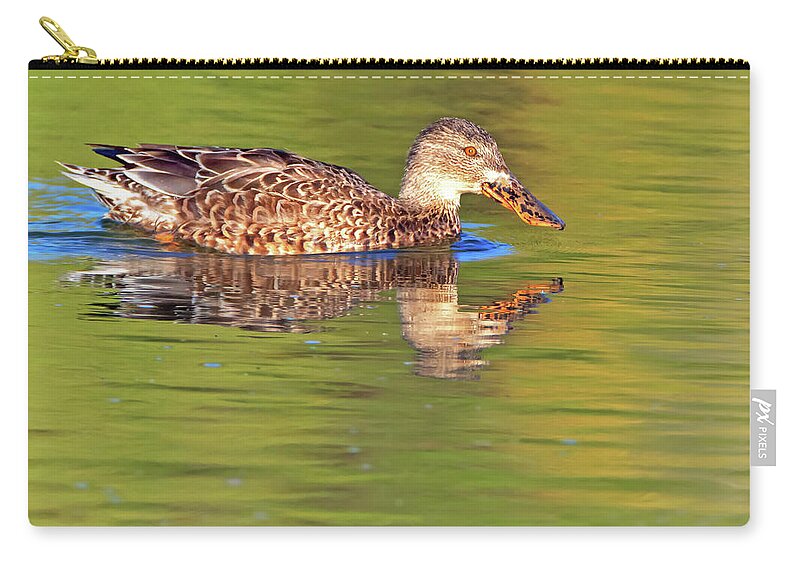 Northern Zip Pouch featuring the photograph Norther Shoveler Female by Tam Ryan