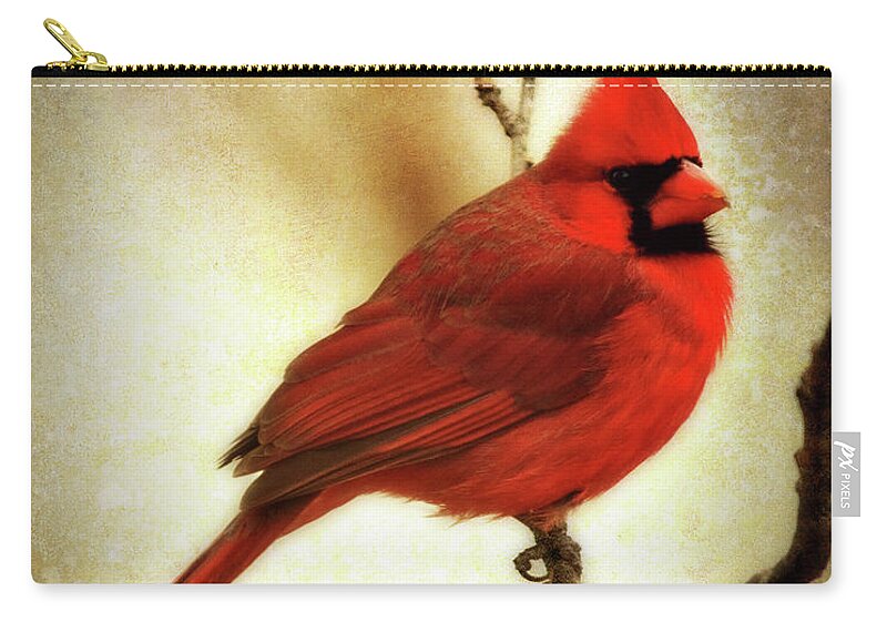 backyard Birds Carry-all Pouch featuring the photograph Northern Cardinal by Lana Trussell