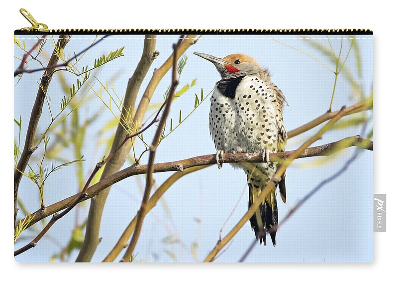 Gilded Zip Pouch featuring the photograph Gilded Flicker #7 by Tam Ryan