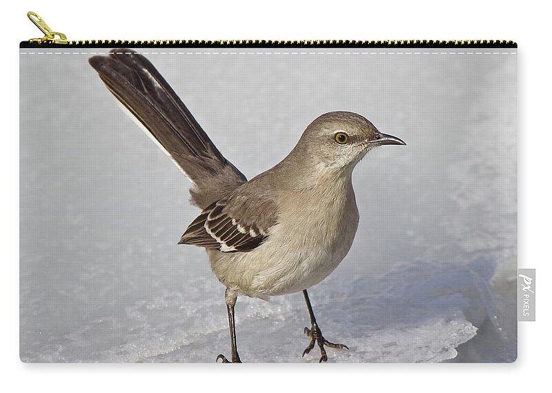 High Park Zip Pouch featuring the photograph Northern Mockingbird by David Pickett