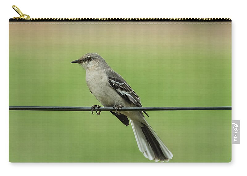 Bird Carry-all Pouch featuring the photograph Northern Mockingbird by Holden The Moment