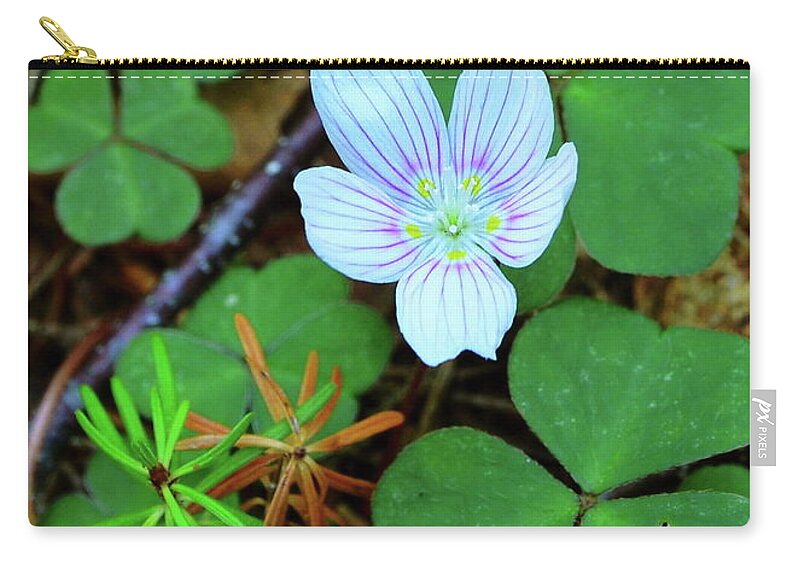 Flora Zip Pouch featuring the photograph Northern Wood Sorrel by Harry Moulton
