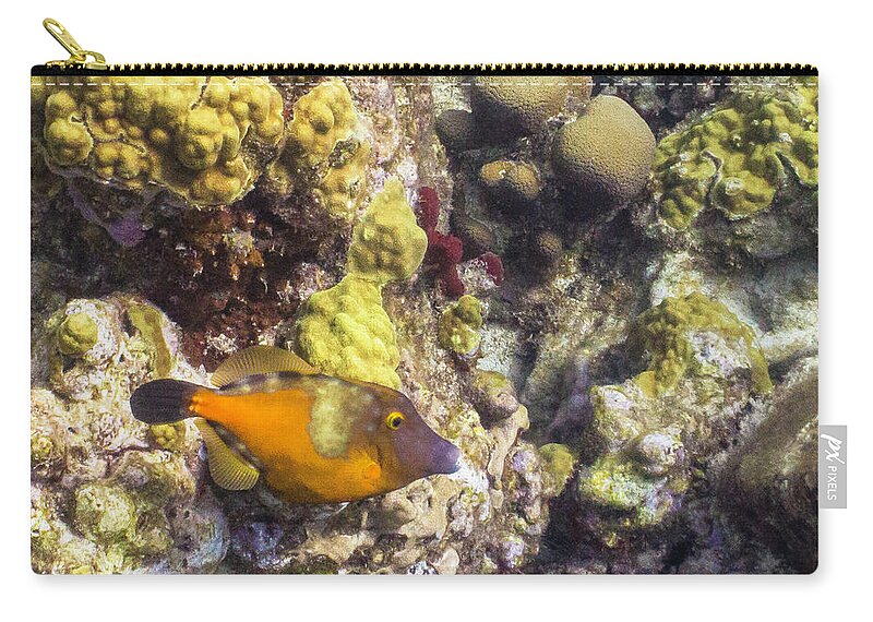 Ocean Zip Pouch featuring the photograph Not A Clown by Lynne Browne