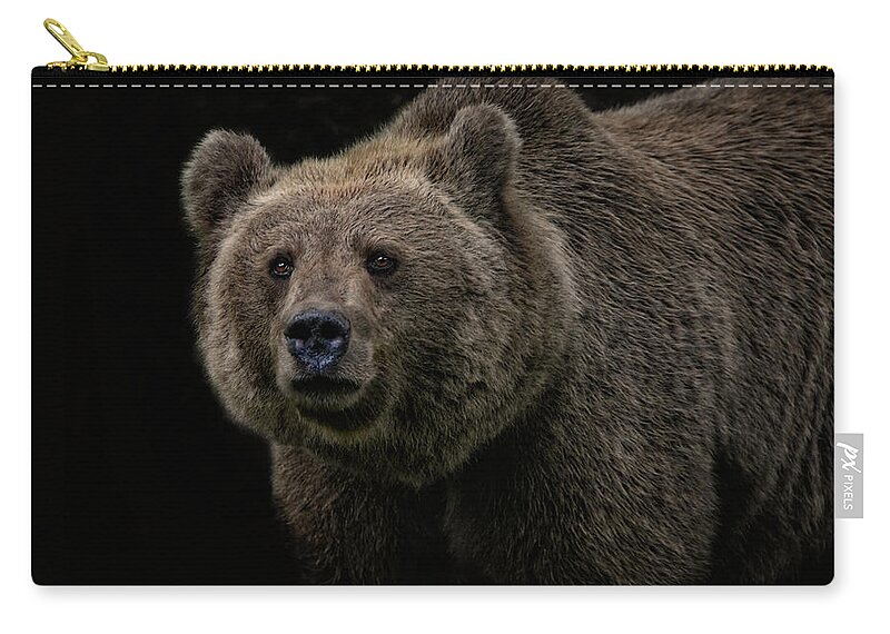 Portrait Zip Pouch featuring the photograph Not A Cuddly Toy Bear by Joachim G Pinkawa