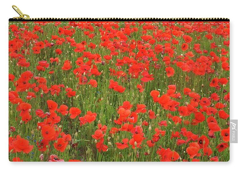 Landscape Zip Pouch featuring the photograph Nottinghamshire Poppies by David Birchall