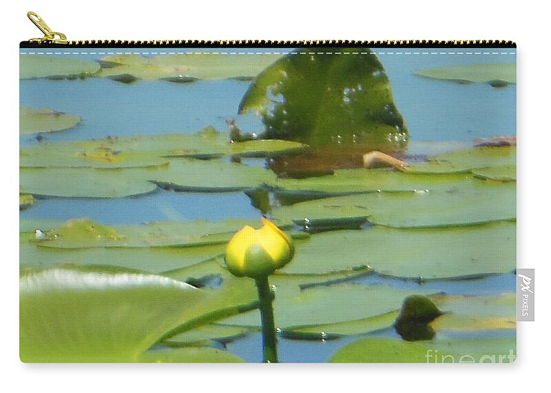 Nuphar Lutea Zip Pouch featuring the photograph Nuphar Lutea Yellow Pond by Rockin Docks Deluxephotos