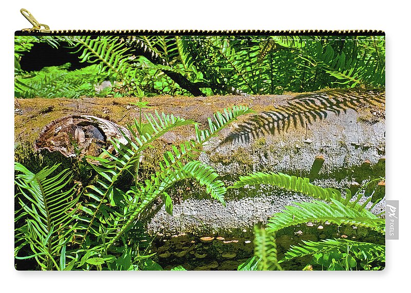 Nurse Log In Muir Woods National Monument Zip Pouch featuring the photograph Nurse Log in Muir Woods National Monument, California by Ruth Hager