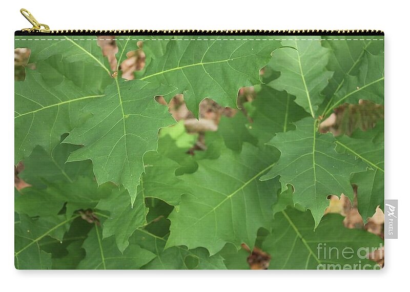 Leaves Zip Pouch featuring the photograph Oak Leaves by Carol Groenen