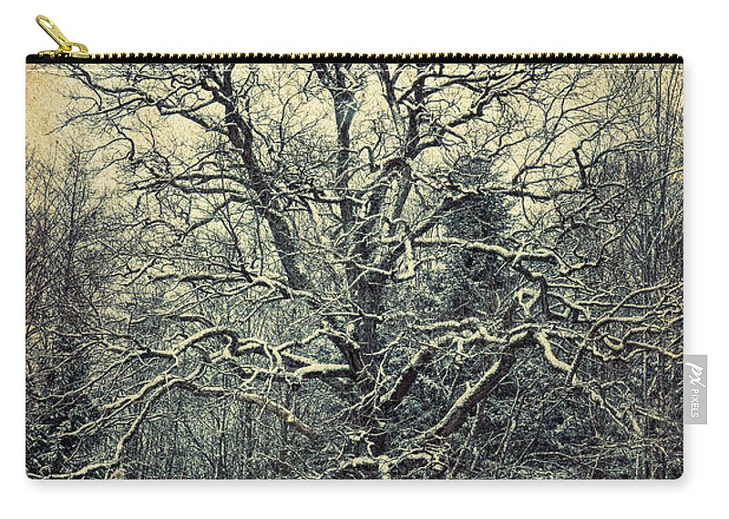Photo Zip Pouch featuring the photograph Oak Tree in Winter by Jutta Maria Pusl