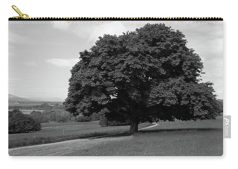 Tree Zip Pouch featuring the photograph Oak Tree - Killarney National Park by Aidan Moran
