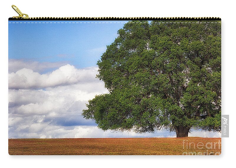 Oak Zip Pouch featuring the photograph OakTree by Anthony Michael Bonafede