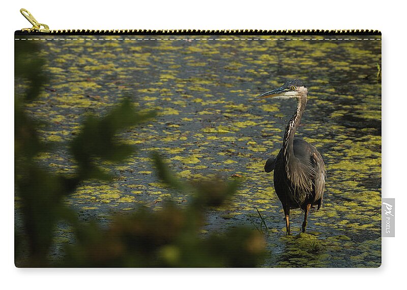 Blue Zip Pouch featuring the photograph Observations of a Heron by Laddie Halupa