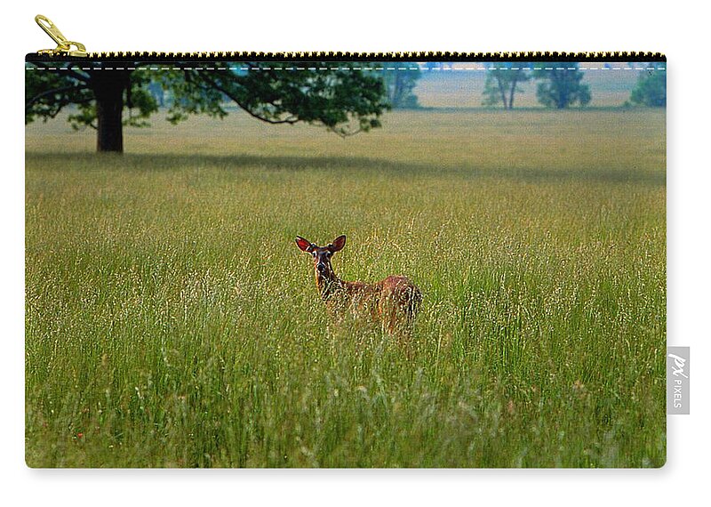 Fine Art Zip Pouch featuring the photograph Observer by Rodney Lee Williams