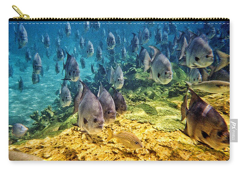Fish Zip Pouch featuring the photograph Oceans Below by Mark Madere